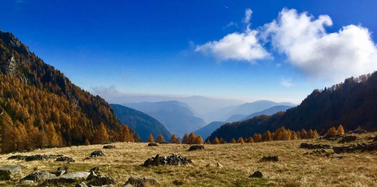 Taxus Hostel Pieve Tesino Kültér fotó