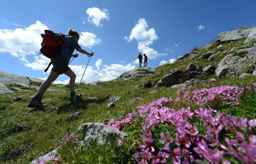 Taxus Hostel Pieve Tesino Kültér fotó